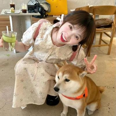 群狗逐狮